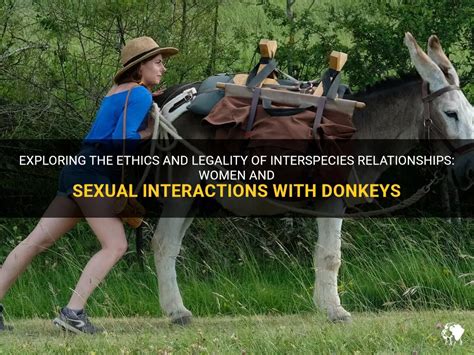 donkey horse sex|Horse and donkey sex .